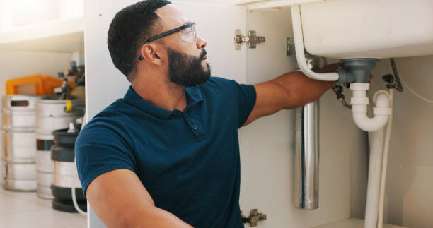 Best Plumbing Inspections & Maintenance in Machesney Park, IL